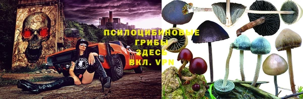 СК Дмитриев